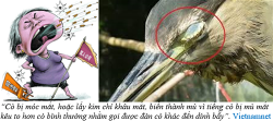 ma-thu