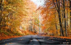 fall-3
