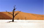 desert-5