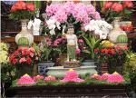 seattle-chua-lien-hoa-01