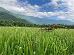 img-6621