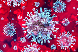 coronavirus