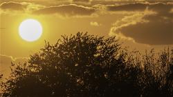 image-afternoon