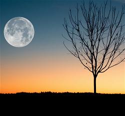 moon-1-