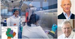 z-covid-scientists