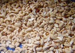 a-cashew-precess-hat-dieu