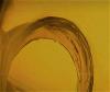 collcontempart-lk-rep-001a
