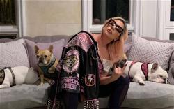lady-gaga-and-3-dogs