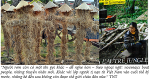 tuong-nang-tien