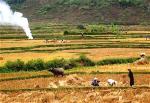 thai-cong-tung