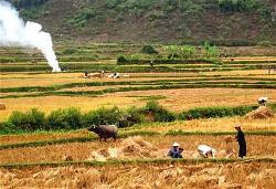 thai-cong-tung