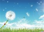 img-5558