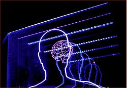 brain-scan