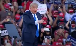 z-01-trump