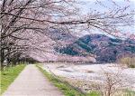flower-2