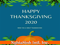 nghia-sinh-01