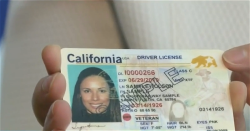 real-id