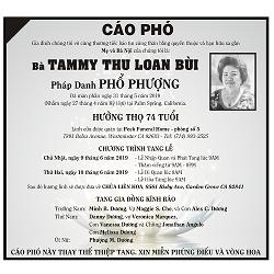 cp-tammy-thu-loan-bui-12p