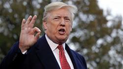 right-donald-trump-