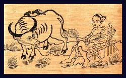 nghi-ngoi