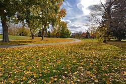 img-7253