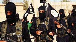 isis