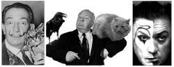 con-meo-edgar