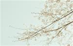 flower-3