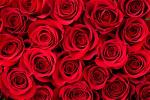 valentine