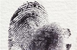 fingerprint-crime-criminal-court