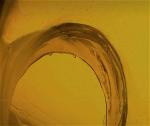 collcontempart-lk-rep-001a