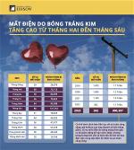 g24-002-metallic-ballon-safety-infographic-020624-vi