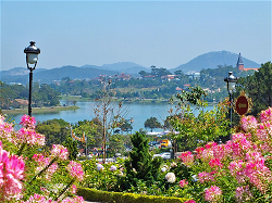 dalat-vn