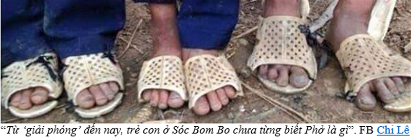 Dan ban dia 1