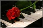 nhac-piano