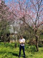 thanh-thanh