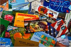 z-the-food-stamp-card-snap-program