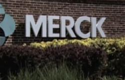 c-merck-bao-cao-doanh-thu-cao-hon-du-doan