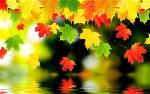 autumn