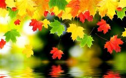 autumn