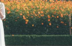 lady-woman-flower