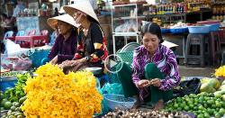 tran-chi-phuc