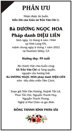 tranvanchi-pu-14-p