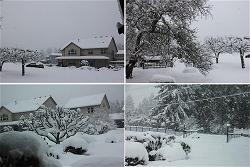 bao-tuyet-washington-state