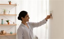 shutterstock-2013743321-mid