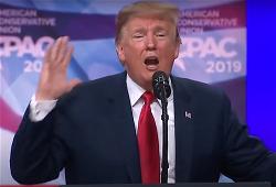 z-04-trump