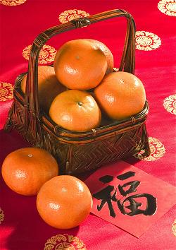 citrus-lny-basket