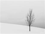 snow-5