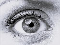 eye