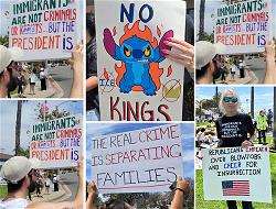 no-kings